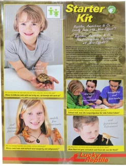 Lucky Reptile Terrarium Starter Kit Wüstengecko, ca. B50/H40/T28 cm