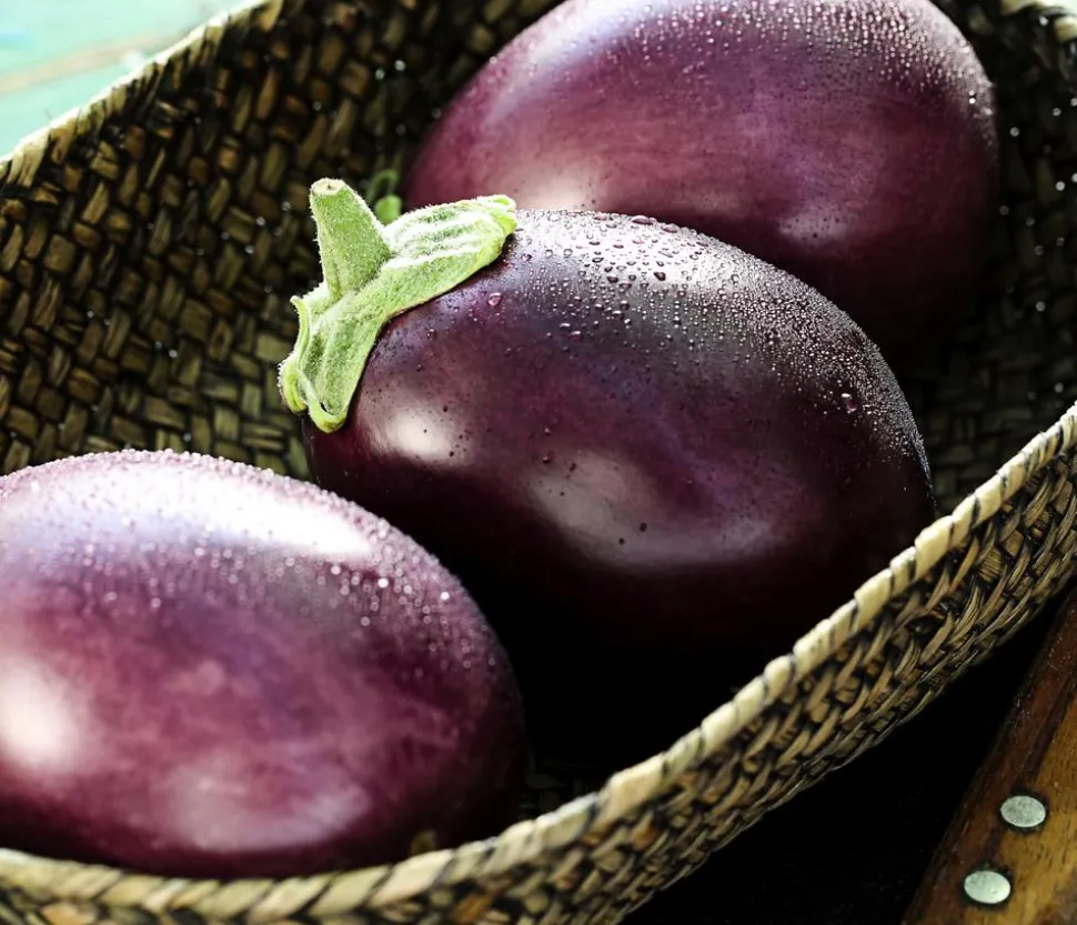 Mini Aubergine