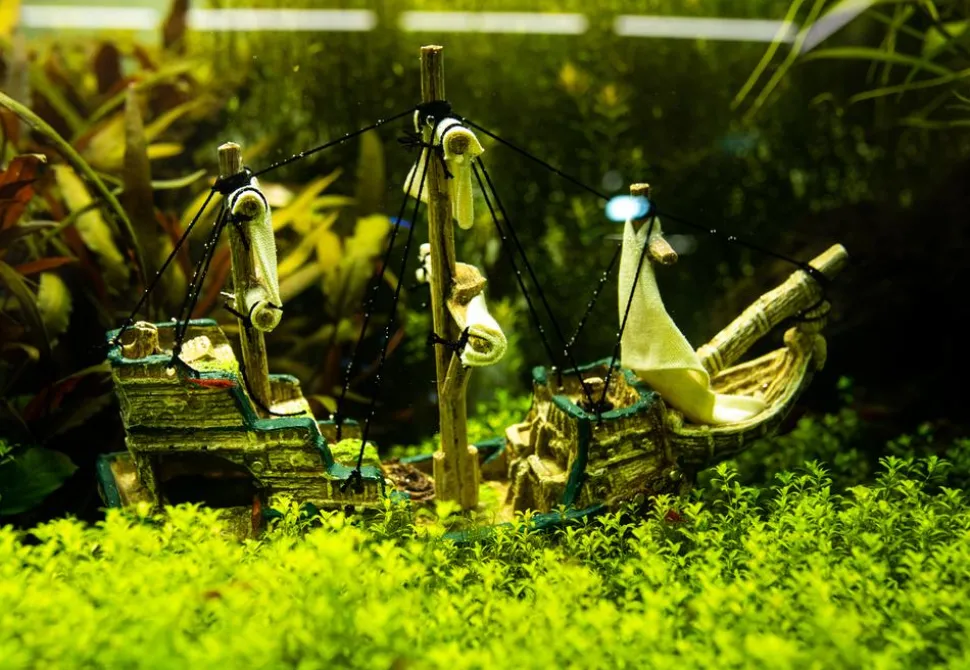 Nobby Aquariumdeko Schiff, ca. B33/H23/T13 cm