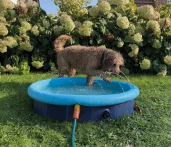 Nobby Hundepool Splash Pool 2 in 1