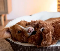 Nobby Hundespielzeug Plüschhund Schlapi