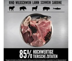 ORIJEN™ Trockenfutter für Katzen Regional Red