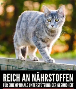 ORIJEN™ Trockenfutter für Katzen Six Fish