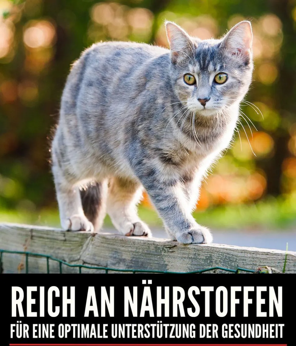 ORIJEN™ Trockenfutter für Katzen Regional Red