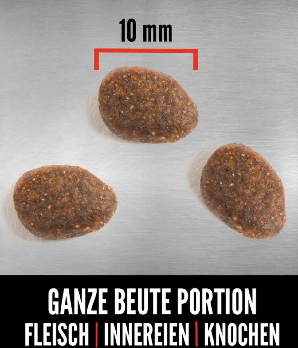 ORIJEN™ Trockenfutter für Katzen Tundra