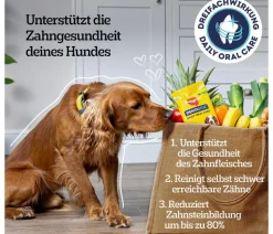 Pedigree® Hundesnack Dentastix Daily Oral Care, mittlere Hunde