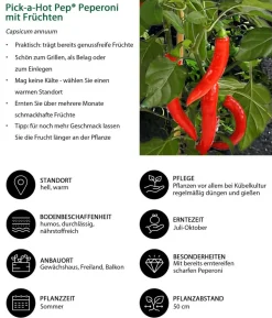 Pick-a-Hot Pep® Peperoni mit Früchten