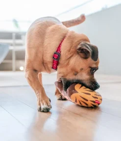 Red Dingo Hundespielzeug DURABLES Toys Nasenbär