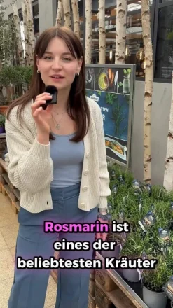 Rosmarin