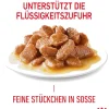 ROYAL CANIN® Nassfutter für Katzen Light Weight Care in Soße, 12 x 85 g