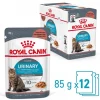 ROYAL CANIN® Nassfutter für Katzen Urinary Care in Soße, 12 x 85 g