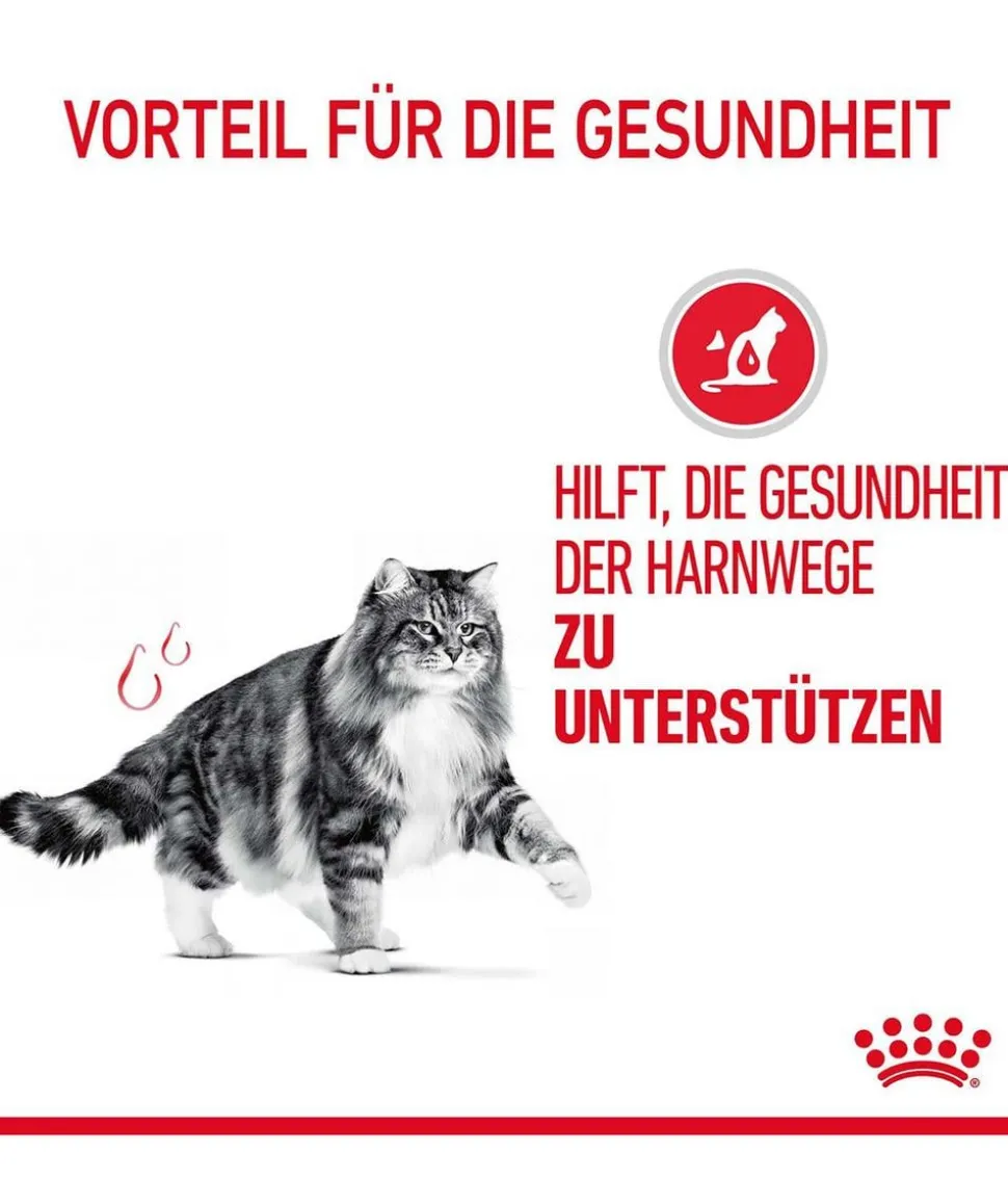 ROYAL CANIN® Nassfutter für Katzen Urinary Care in Soße, 12 x 85 g