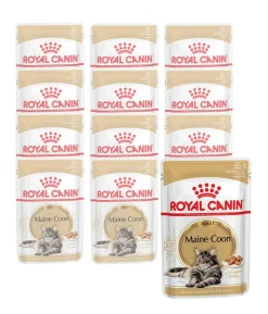ROYAL CANIN® Nassfutter für Katzen Maine Coon Adult in Soße, 12 x 85 g