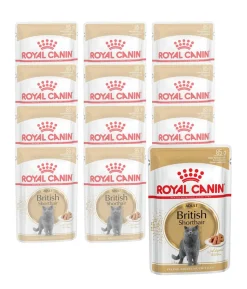 ROYAL CANIN® Nassfutter für Katzen British Shorthair in Soße, 12 x 85 g
