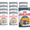 Royal Canin Nassfutter Intense Beauty, 12 x 85g