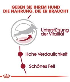 ROYAL CANIN® Trockenfutter für Hunde Medium Adult 7+