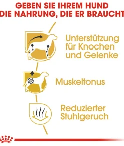 ROYAL CANIN® Trockenfutter für Hunde Dachshund Adult