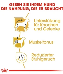 ROYAL CANIN® Trockenfutter für Hunde Dachshund Adult