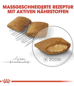 ROYAL CANIN® Trockenfutter für Hunde Exigent Mini