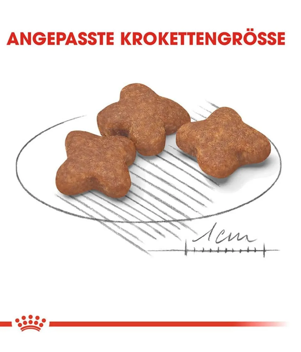 ROYAL CANIN® Trockenfutter für Hunde Mini Ageing 12+