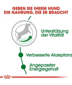 ROYAL CANIN® Trockenfutter für Hunde Mini Ageing 12+