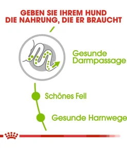 ROYAL CANIN® Trockenfutter für Hunde Exigent Mini