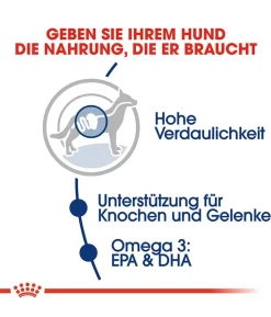 ROYAL CANIN® Trockenfutter für Hunde 5+ Maxi Adult
