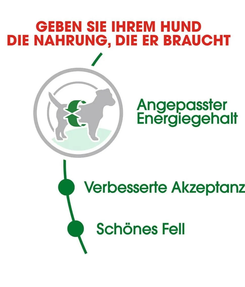 ROYAL CANIN® Trockenfutter für Hunde Mini Adult