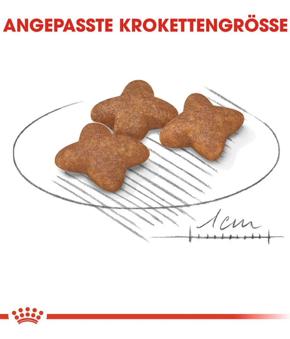 ROYAL CANIN® Trockenfutter für Hunde Mini Adult