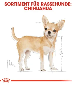 ROYAL CANIN® Trockenfutter für Hunde Chihuahua Adult