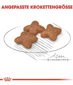 ROYAL CANIN® Trockenfutter für Hunde Mini Adult