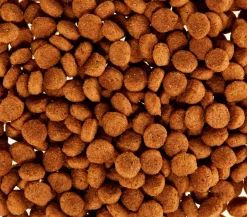 ROYAL CANIN® Trockenfutter für Hunde Chihuahua Adult