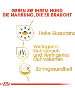 ROYAL CANIN® Trockenfutter für Hunde Chihuahua Adult