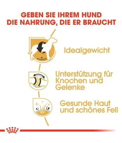 ROYAL CANIN® Trockenfutter für Hunde Labrador Retriever Adult