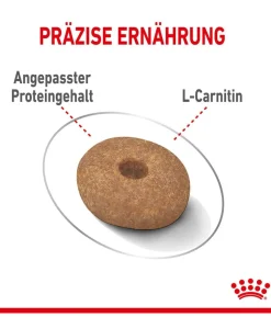 ROYAL CANIN® Trockenfutter für Hunde Light Weight Care Mini