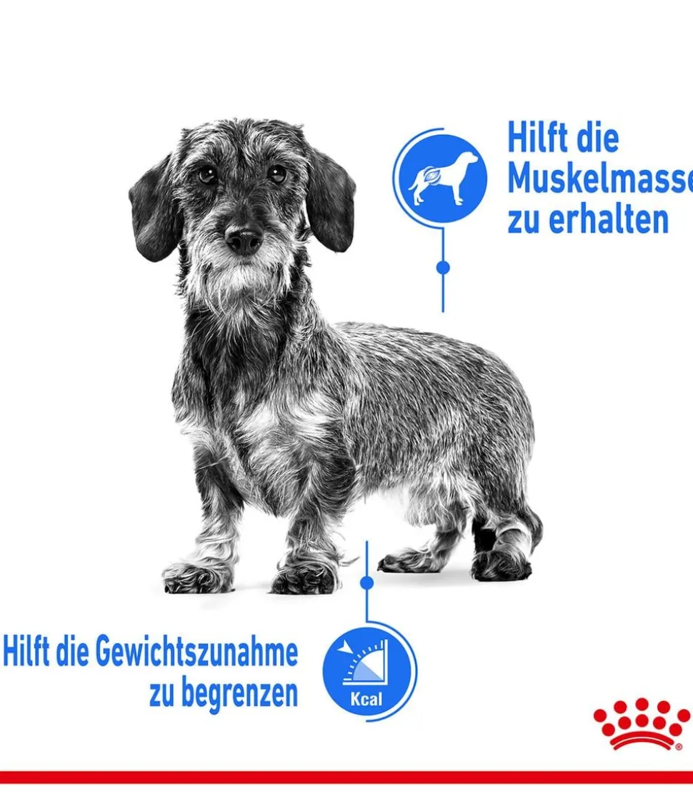 ROYAL CANIN® Trockenfutter für Hunde Light Weight Care Mini