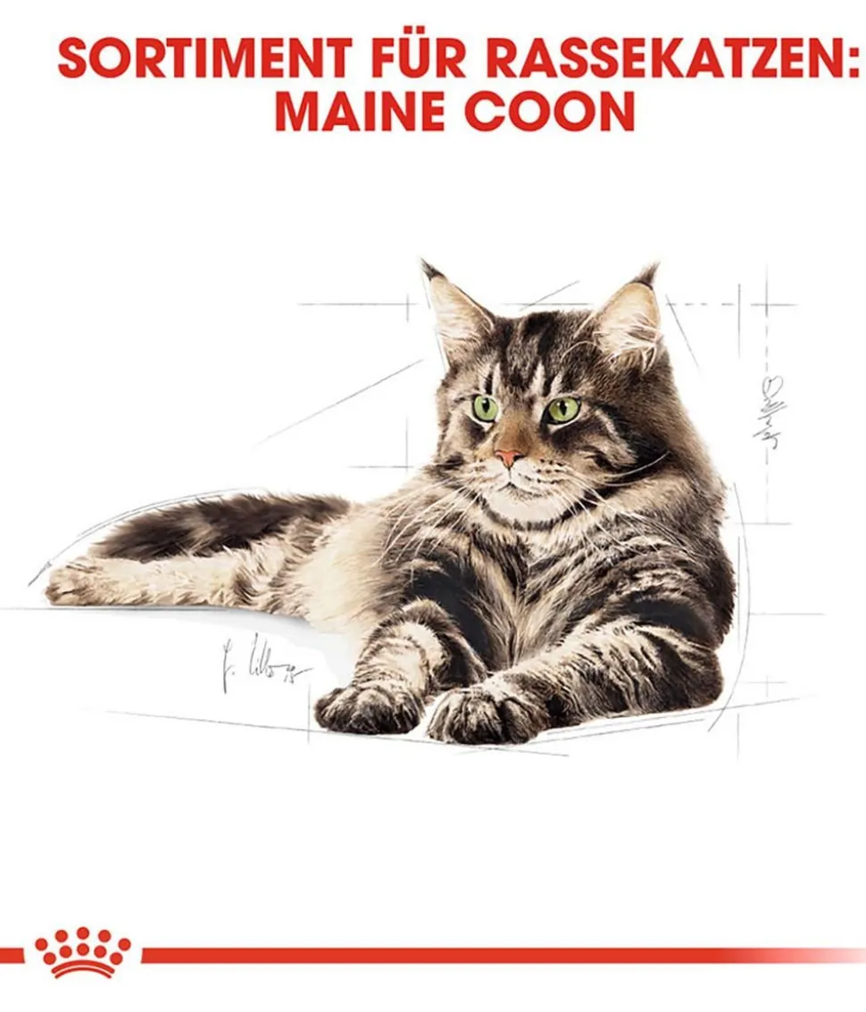 ROYAL CANIN® Trockenfutter für Katzen Maine Coon Adult