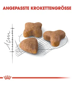 ROYAL CANIN® Trockenfutter für Katzen Sensible