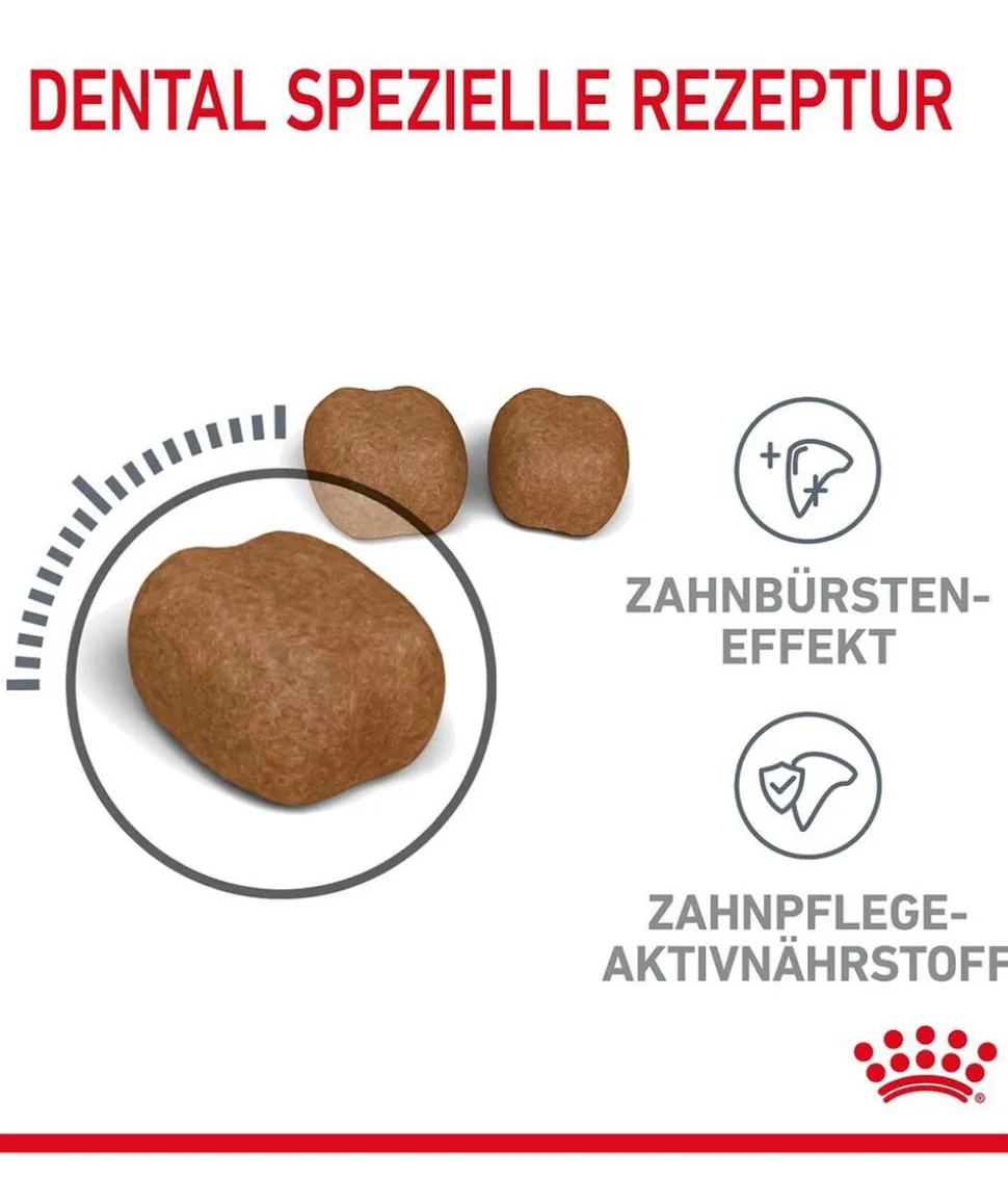 ROYAL CANIN® Trockenfutter für Katzen Dental Care