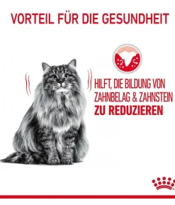 ROYAL CANIN® Trockenfutter für Katzen Dental Care