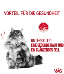 ROYAL CANIN® Trockenfutter für Katzen Hair & Skin Care
