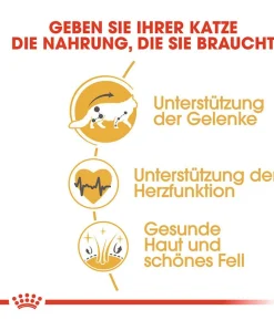 ROYAL CANIN® Trockenfutter für Katzen Kitten
