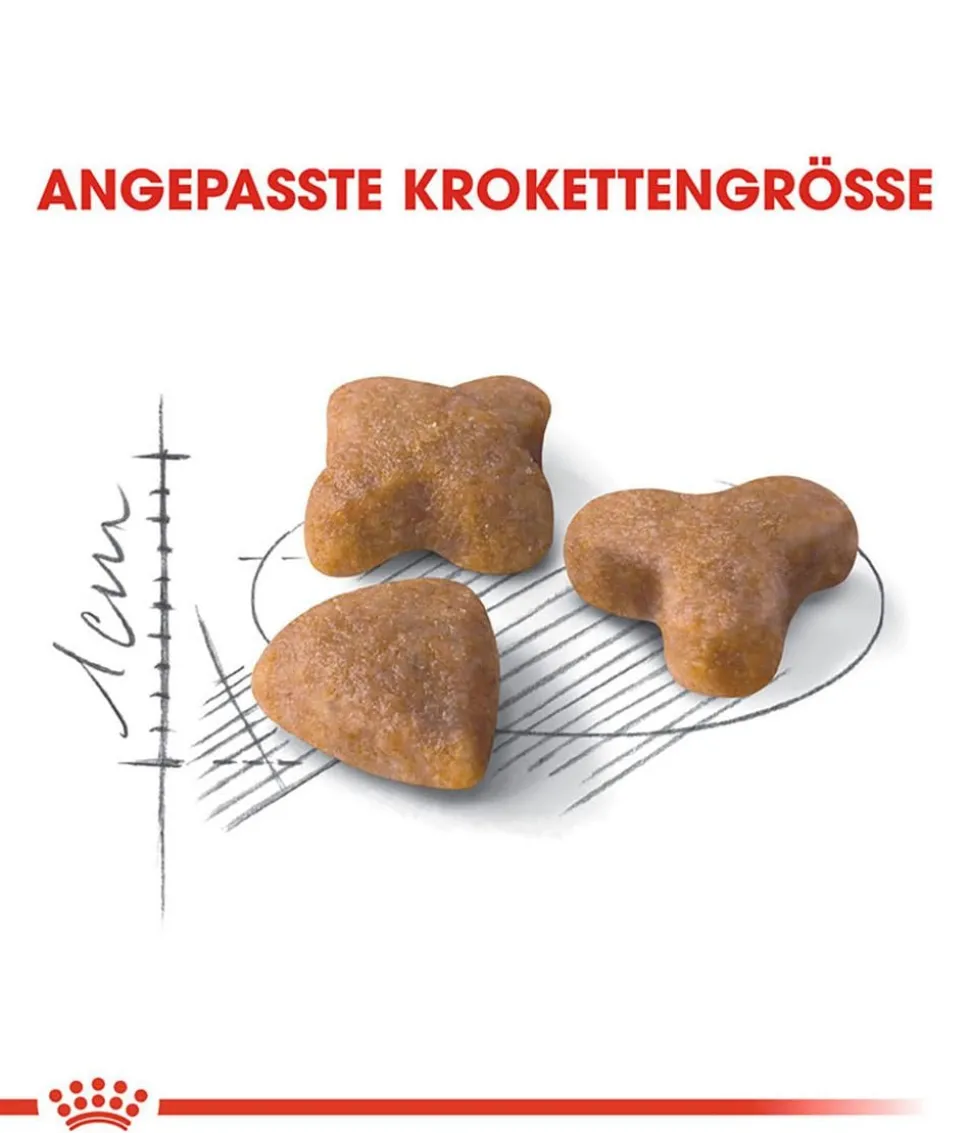 ROYAL CANIN® Trockenfutter für Katzen Sensible