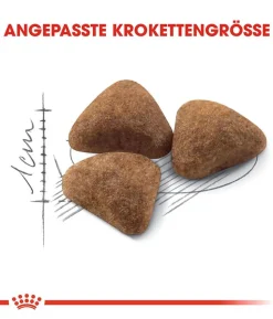 ROYAL CANIN® Trockenfutter für Katzen Indoor