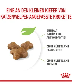 ROYAL CANIN® Trockenfutter für Katzen Kitten