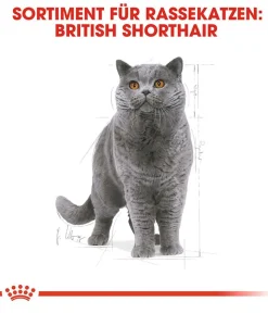 ROYAL CANIN® Trockenfutter für Katzen British Shorthair Adult