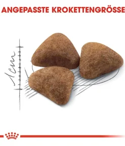 ROYAL CANIN® Trockenfutter für Katzen Sensible