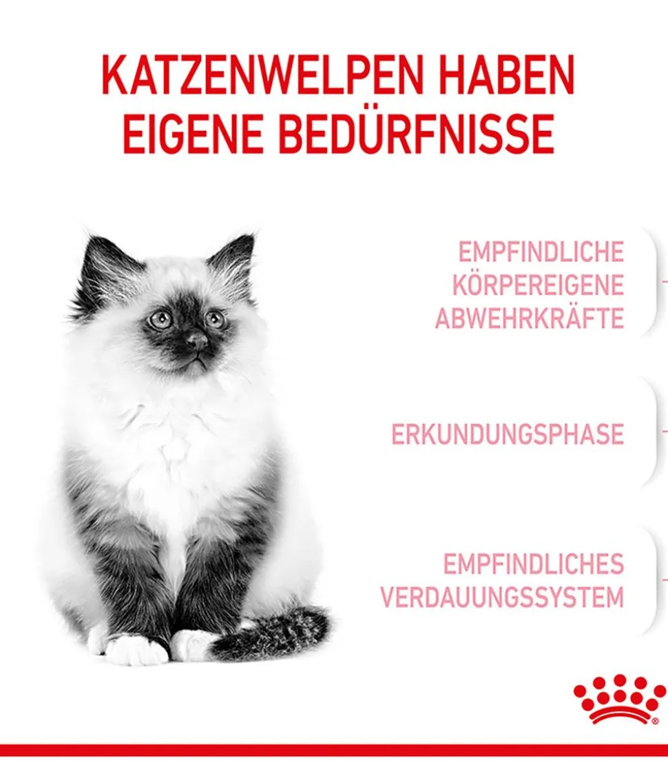 ROYAL CANIN® Trockenfutter für Katzen Kitten