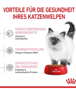 ROYAL CANIN® Trockenfutter für Katzen Kitten