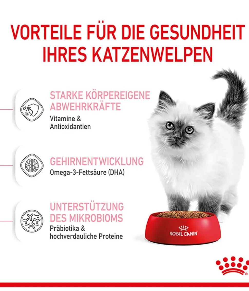 ROYAL CANIN® Trockenfutter für Katzen Kitten